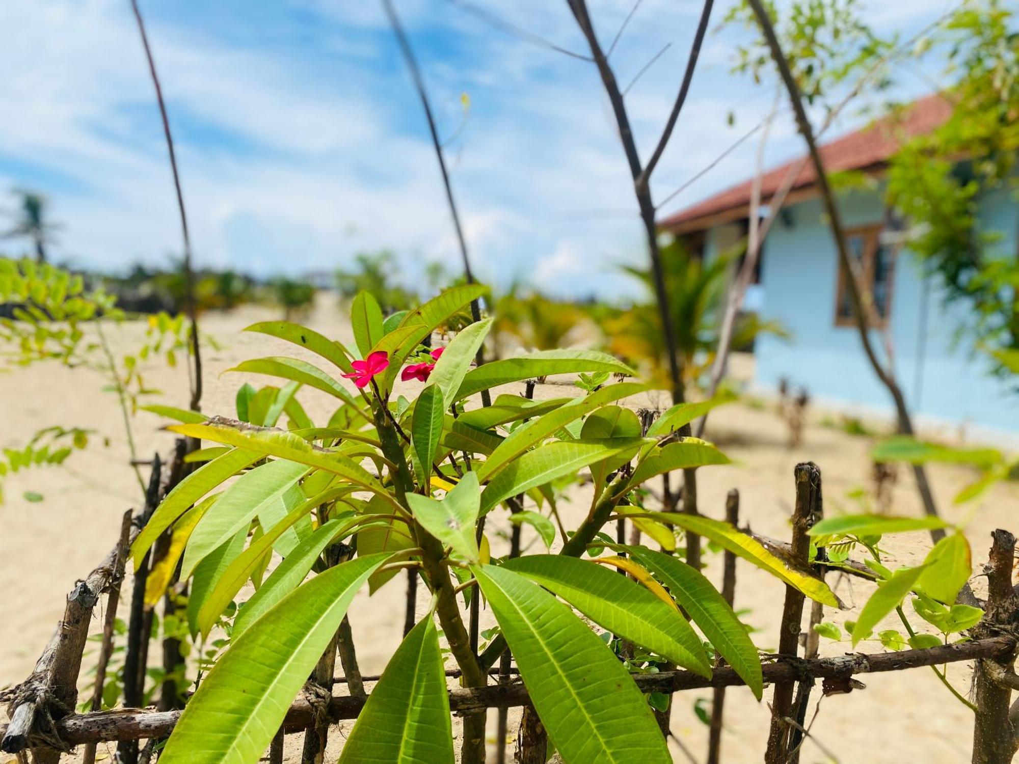 Oceano Beach Villa Baie d'Arugam Extérieur photo